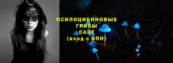 прущие крисы Кодинск