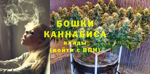 МДПВ Карпинск