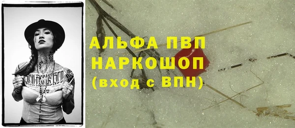 спиды Козельск