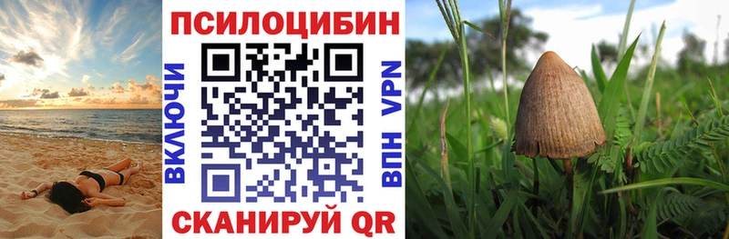 купить наркотики сайты  OMG ТОР  Галлюциногенные грибы мицелий  Сурск 