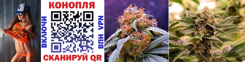 mega онион  Сурск  нарко площадка как зайти  Шишки марихуана индика 